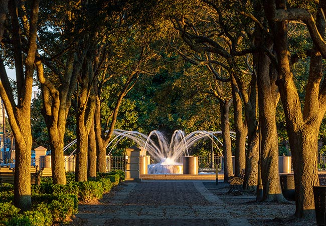 Wedding Locations Charleston Couples Love: A Photo-Ready Plan